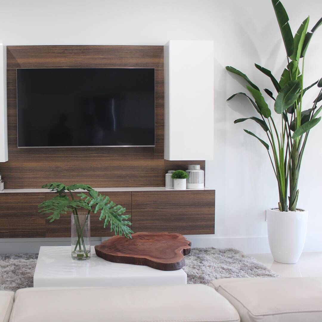 Planta ave del paraíso de 2,7 m con macetero Ben en blanco brillante