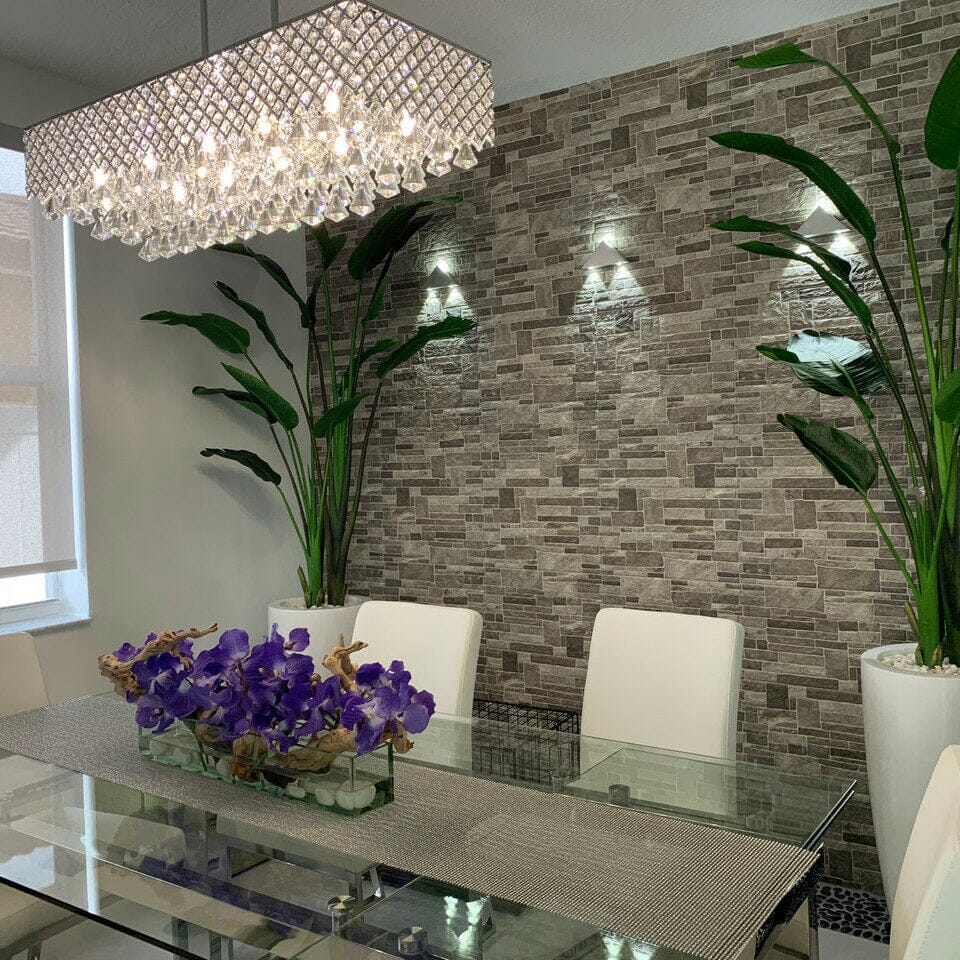 Planta Ave del Paraíso de 7 pies con Maceta Dax L