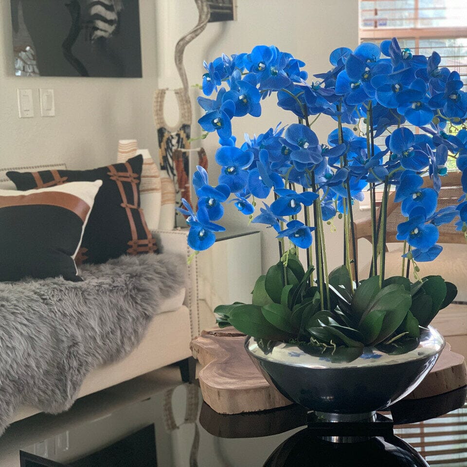 Avenida Bowl con orquídeas Phalaenopsis azules
