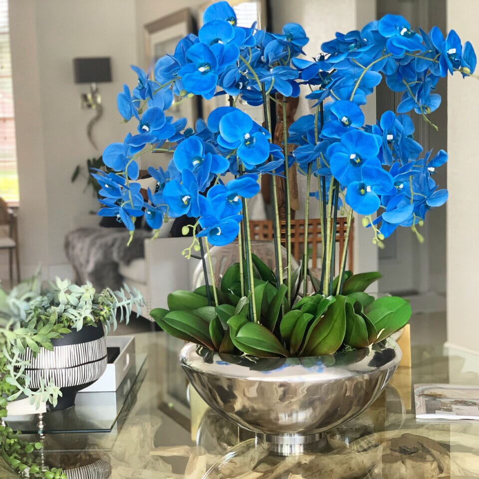 Avenida Bowl con orquídeas Phalaenopsis azules