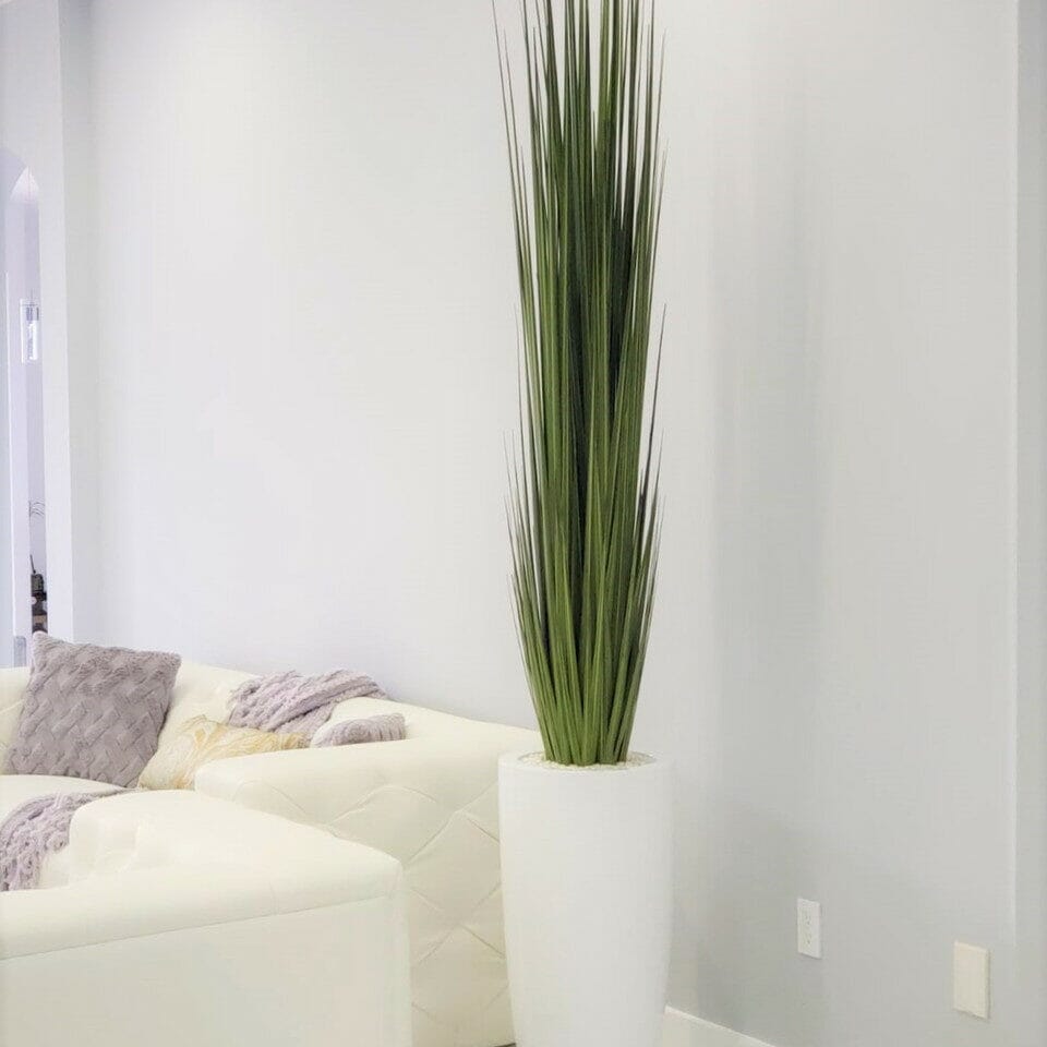 Jarrón Dax (tamaño L) con hierba de junco