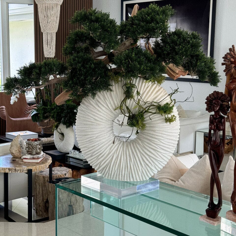 Gran jarrón Eternity con bonsái colgante y madera flotante