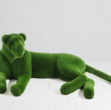 Lioness Topiary