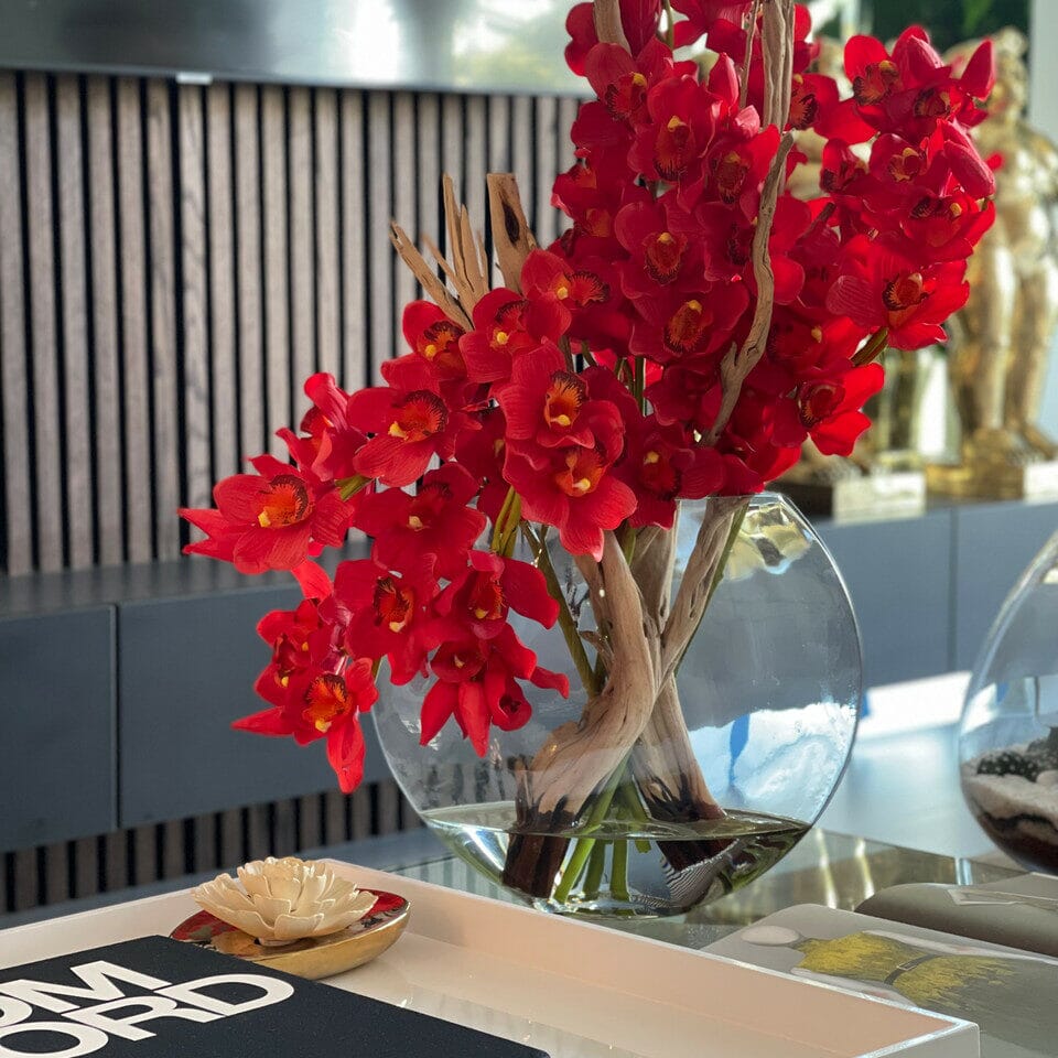 Orquídeas Cymbidium rojas en maceta Moon