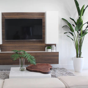 Pájaro del paraíso de 2,74 m con maceta Ben en blanco brillante