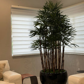 Maceta Terragona Negra con Palma Lady