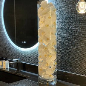 Cilindro de vidrio con orquídeas Phalaenopsis blancas