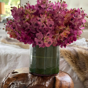 Orquídeas Mokara mixtas en un gran cilindro giratorio