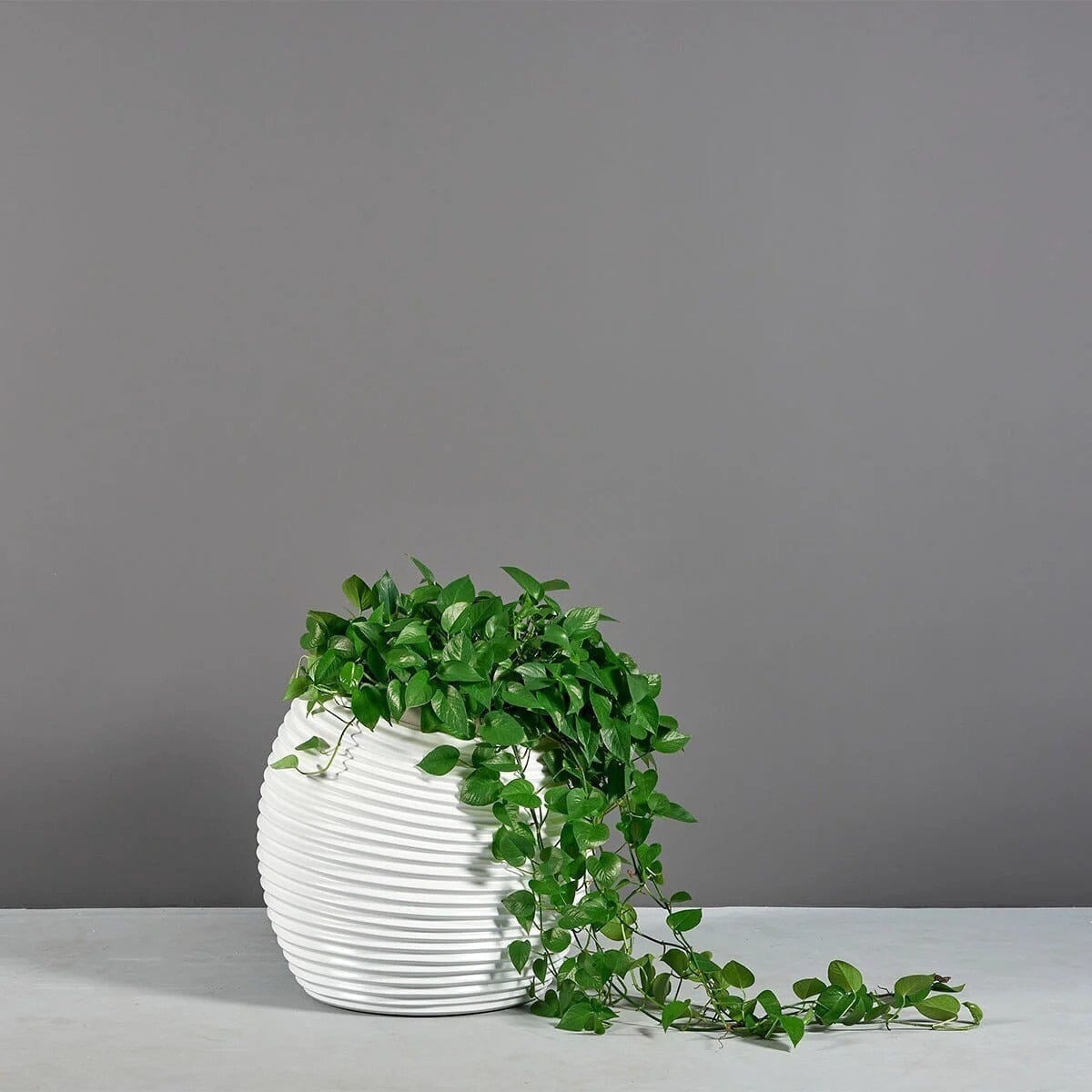 Modern Spiral Globe Planter