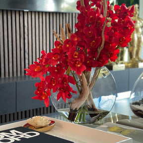 Orquídeas Cymbidium rojas en maceta Moon