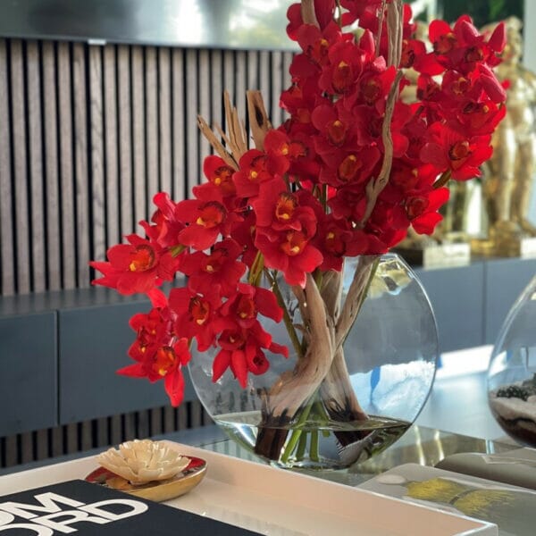 Orquídeas Cymbidium rojas en maceta Moon