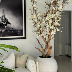 Árbol de magnolia blanca en maceta globo blanca brillante, 76 cm