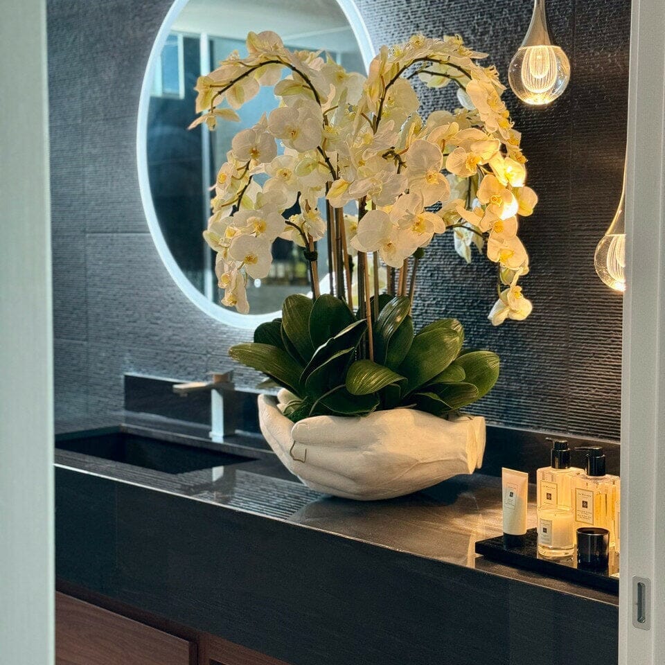 Orquídeas Phalaenopsis blancas en maceta escultórica de Manos Abiertas