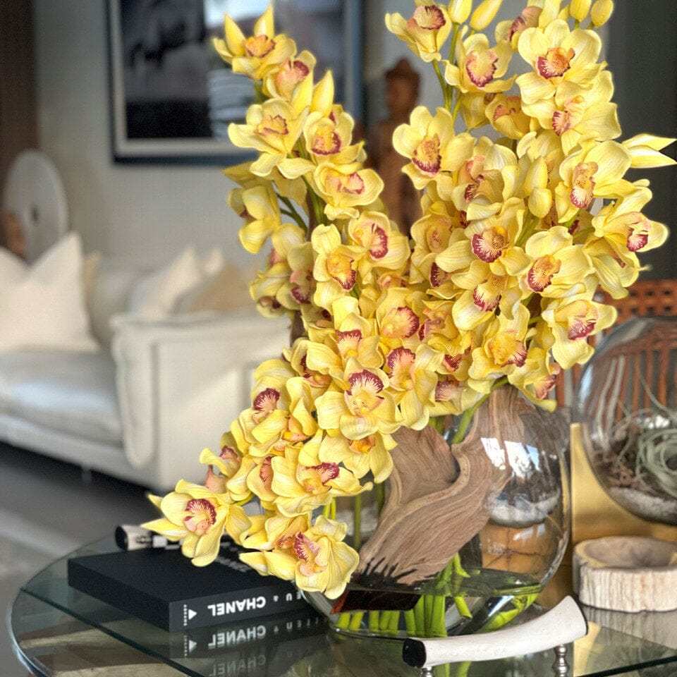 Orquídeas Cymbidium amarillas en jarrón Moon