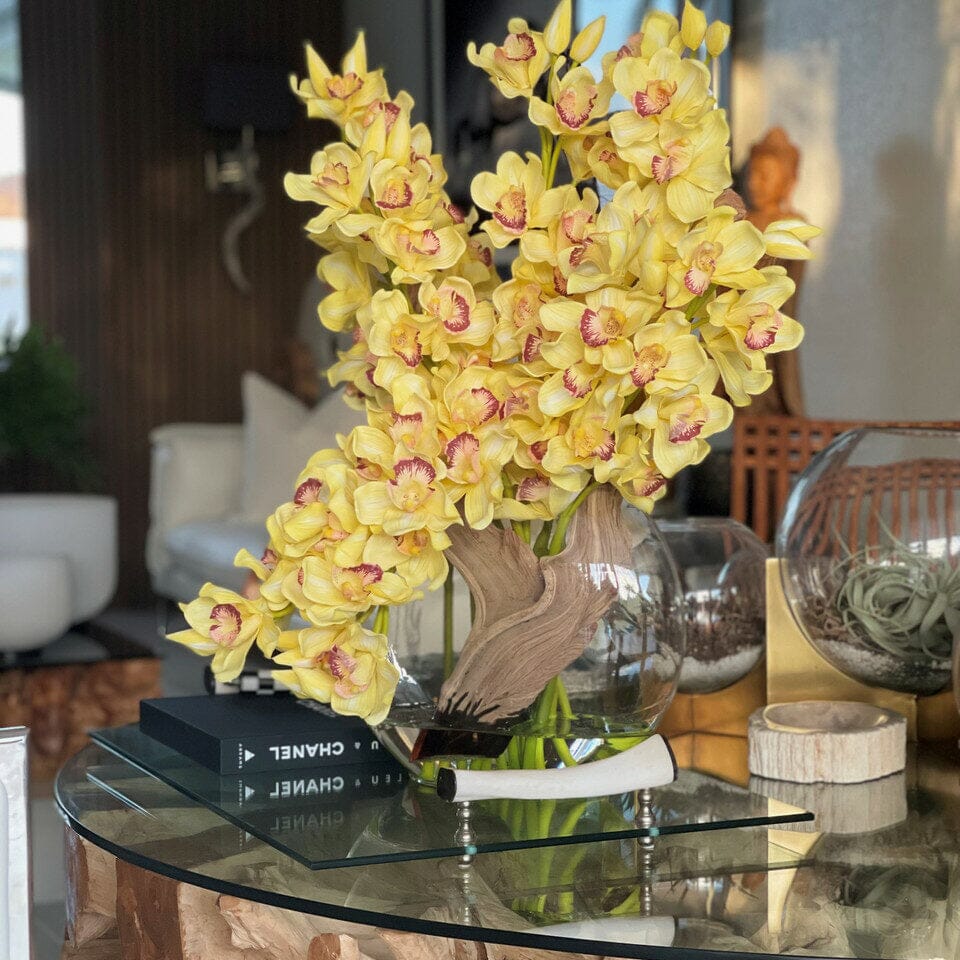 Orquídeas Cymbidium amarillas en jarrón Moon